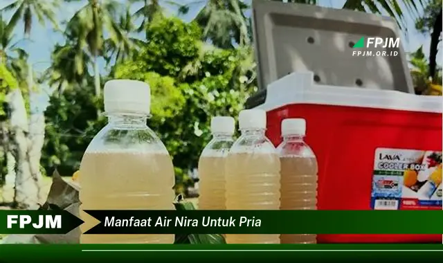 manfaat air nira untuk pria