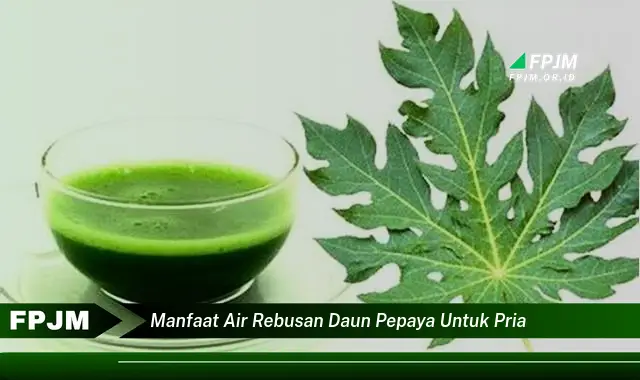 manfaat air rebusan daun pepaya untuk pria manfaat air rebusan daun pepaya untuk pria
