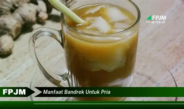 manfaat bandrek untuk pria