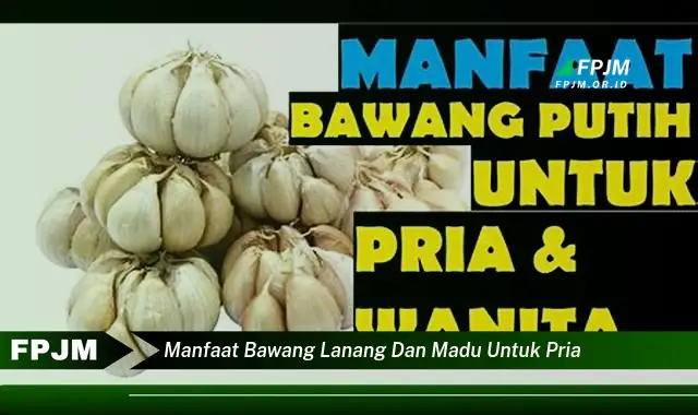 manfaat bawang lanang dan madu untuk pria