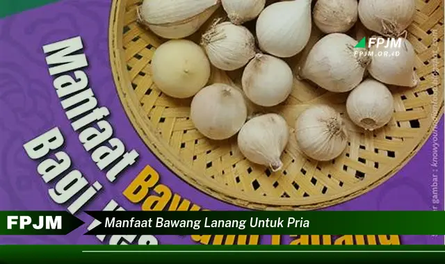 manfaat bawang lanang untuk pria manfaat bawang lanang untuk pria