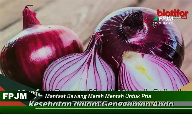 manfaat bawang merah mentah untuk pria