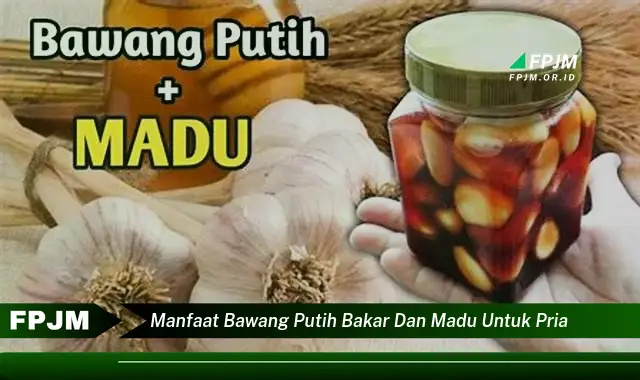 manfaat bawang putih bakar dan madu untuk pria manfaat bawang putih bakar dan madu untuk pria