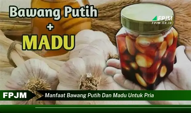 manfaat bawang putih dan madu untuk pria
