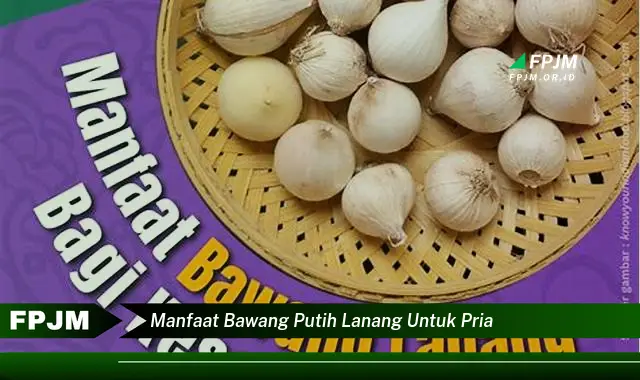 manfaat bawang putih lanang untuk pria