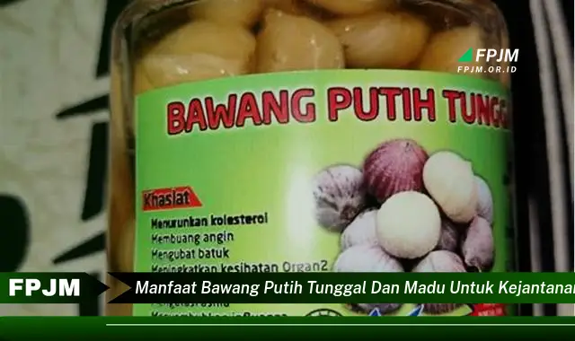 manfaat bawang putih tunggal dan madu untuk kejantanan pria manfaat bawang putih tunggal dan madu untuk kejantanan pria