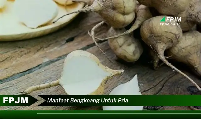 manfaat bengkoang untuk pria