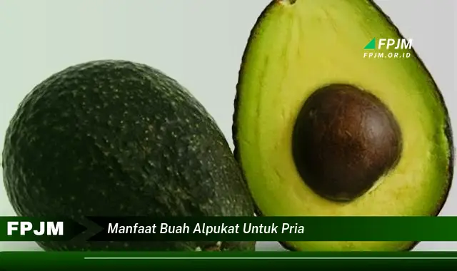 manfaat buah alpukat untuk pria