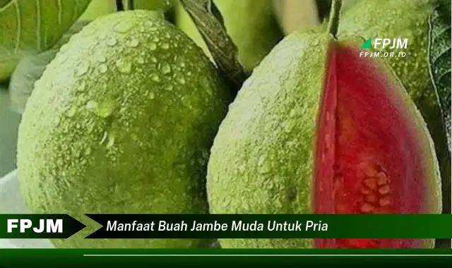 manfaat buah jambe muda untuk pria