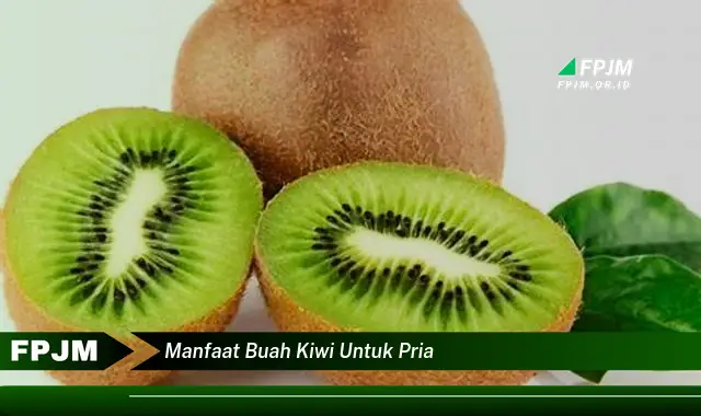 manfaat buah kiwi untuk pria manfaat buah kiwi untuk pria