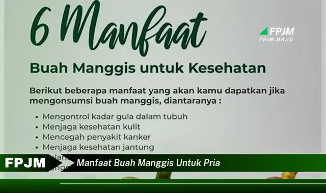 manfaat buah manggis untuk pria