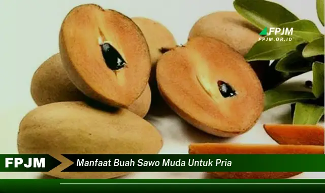 manfaat buah sawo muda untuk pria