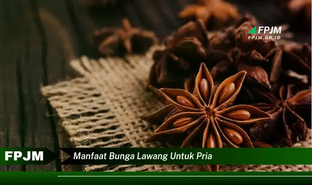 manfaat bunga lawang untuk pria manfaat bunga lawang untuk pria