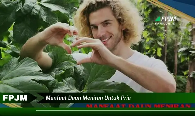 manfaat daun meniran untuk pria manfaat daun meniran untuk pria