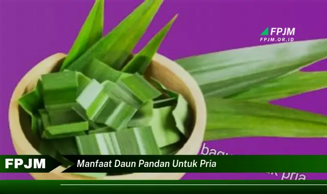 manfaat daun pandan untuk pria