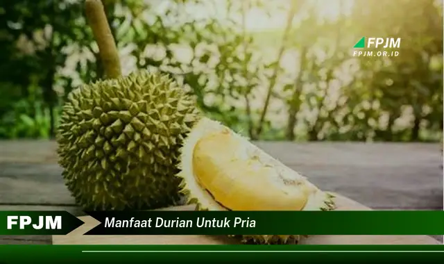 manfaat durian untuk pria