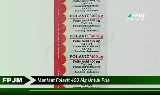 manfaat folavit 400 mg untuk pria