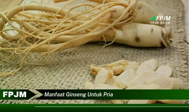 manfaat ginseng untuk pria