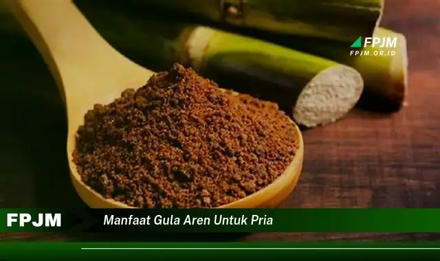 manfaat gula aren untuk pria manfaat gula aren untuk pria