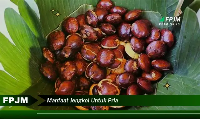 manfaat jengkol untuk pria manfaat jengkol untuk pria