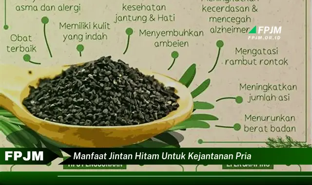 manfaat jintan hitam untuk kejantanan pria manfaat jintan hitam untuk kejantanan pria