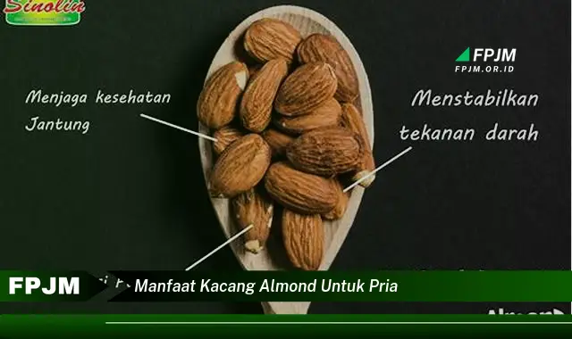 manfaat kacang almond untuk pria