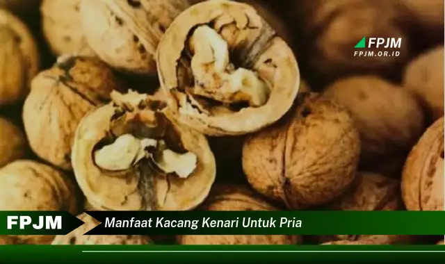 manfaat kacang kenari untuk pria