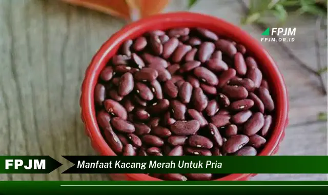 manfaat kacang merah untuk pria manfaat kacang merah untuk pria