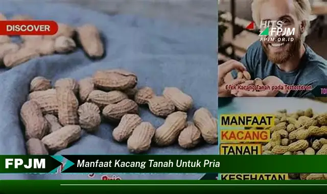 manfaat kacang tanah untuk pria manfaat kacang tanah untuk pria