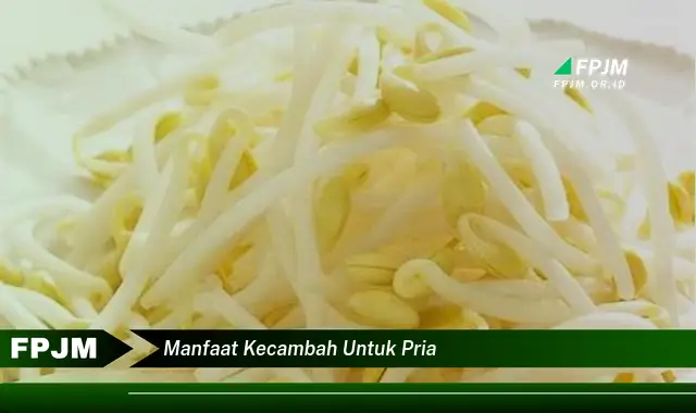 manfaat kecambah untuk pria manfaat kecambah untuk pria