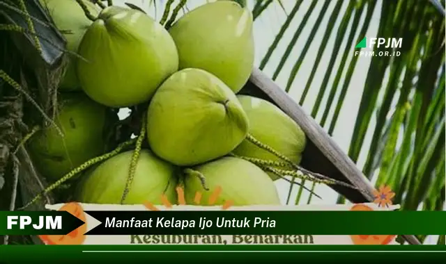 manfaat kelapa ijo untuk pria manfaat kelapa ijo untuk pria
