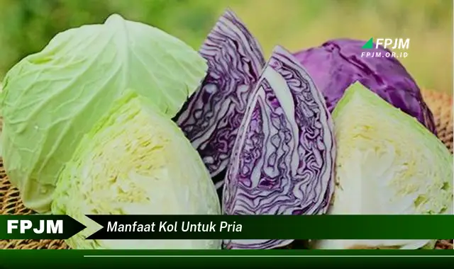 manfaat kol untuk pria manfaat kol untuk pria