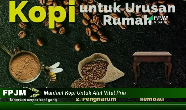 manfaat kopi untuk alat vital pria