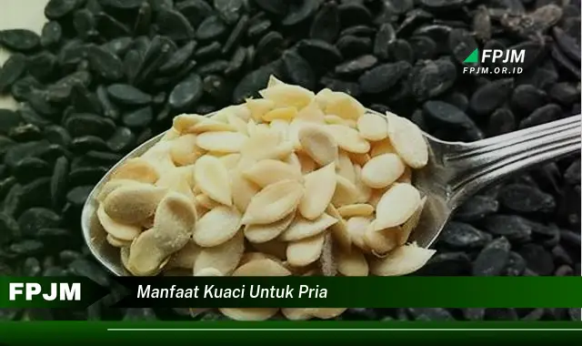 manfaat kuaci untuk pria