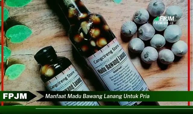 manfaat madu bawang lanang untuk pria