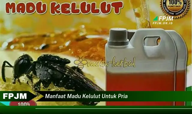 manfaat madu kelulut untuk pria