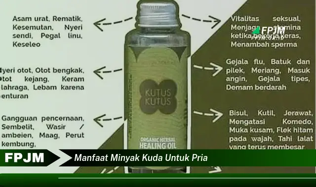 manfaat minyak kuda untuk pria manfaat minyak kuda untuk pria