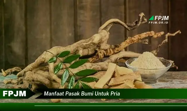 manfaat pasak bumi untuk pria