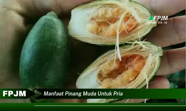 manfaat pinang muda untuk pria