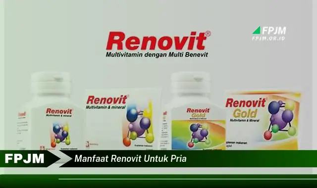 manfaat renovit untuk pria