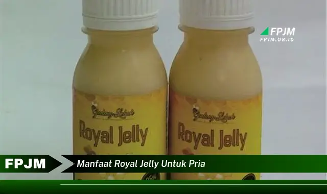 manfaat royal jelly untuk pria