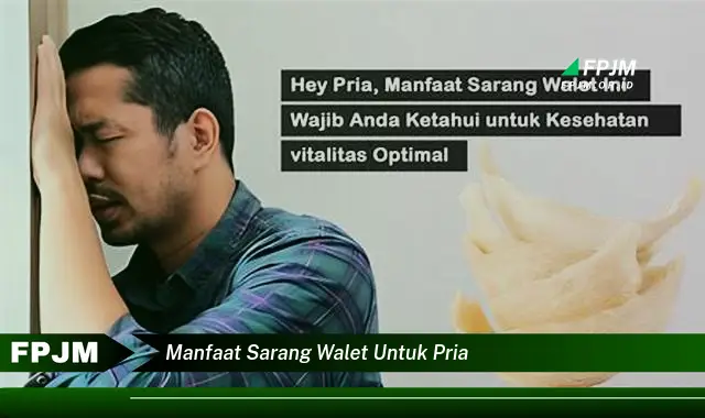 manfaat sarang walet untuk pria