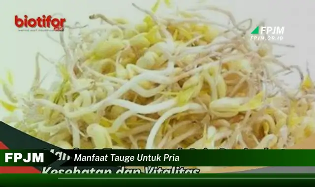 manfaat tauge untuk pria