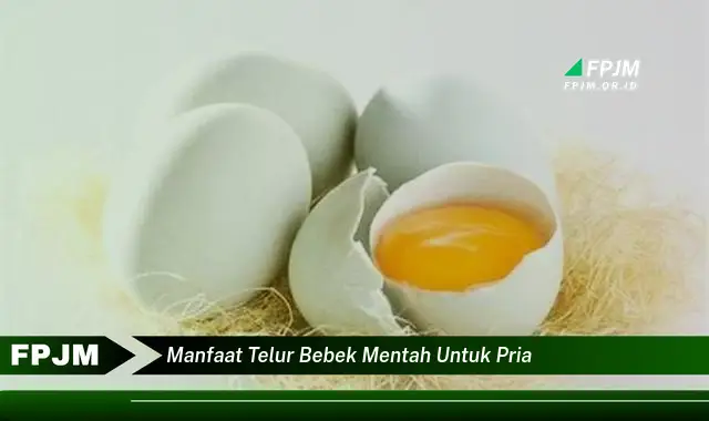 manfaat telur bebek mentah untuk pria