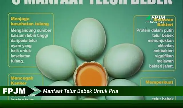 manfaat telur bebek untuk pria