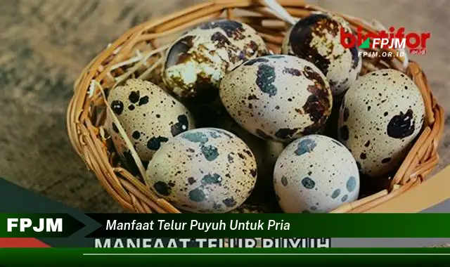 manfaat telur puyuh untuk pria