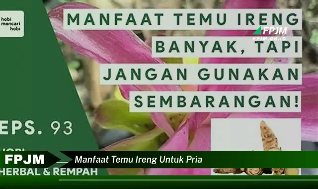 manfaat temu ireng untuk pria manfaat temu ireng untuk pria