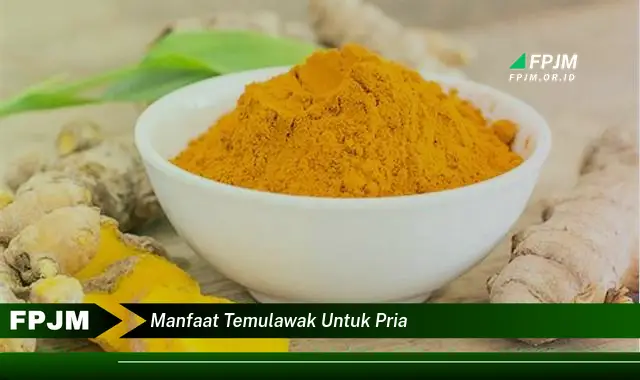 manfaat temulawak untuk pria