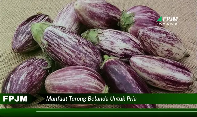 manfaat terong belanda untuk pria