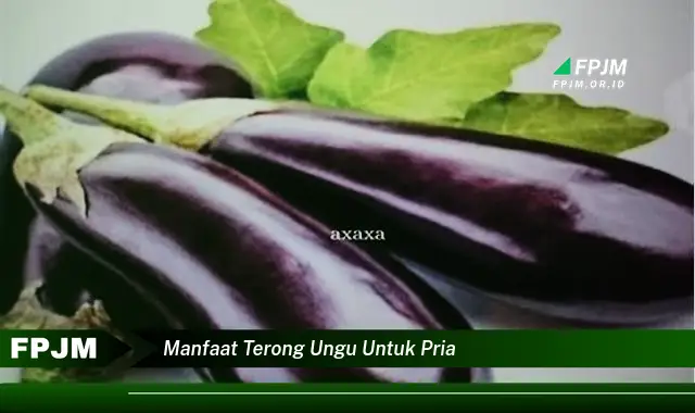 manfaat terong ungu untuk pria